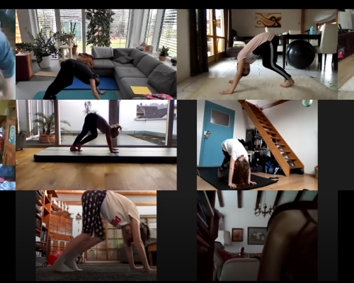 Bild Online Training